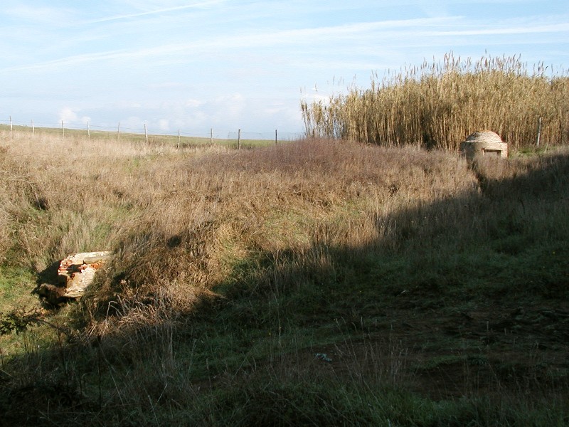 Fontanili della Toscana